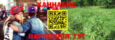 сатива Бузулук
