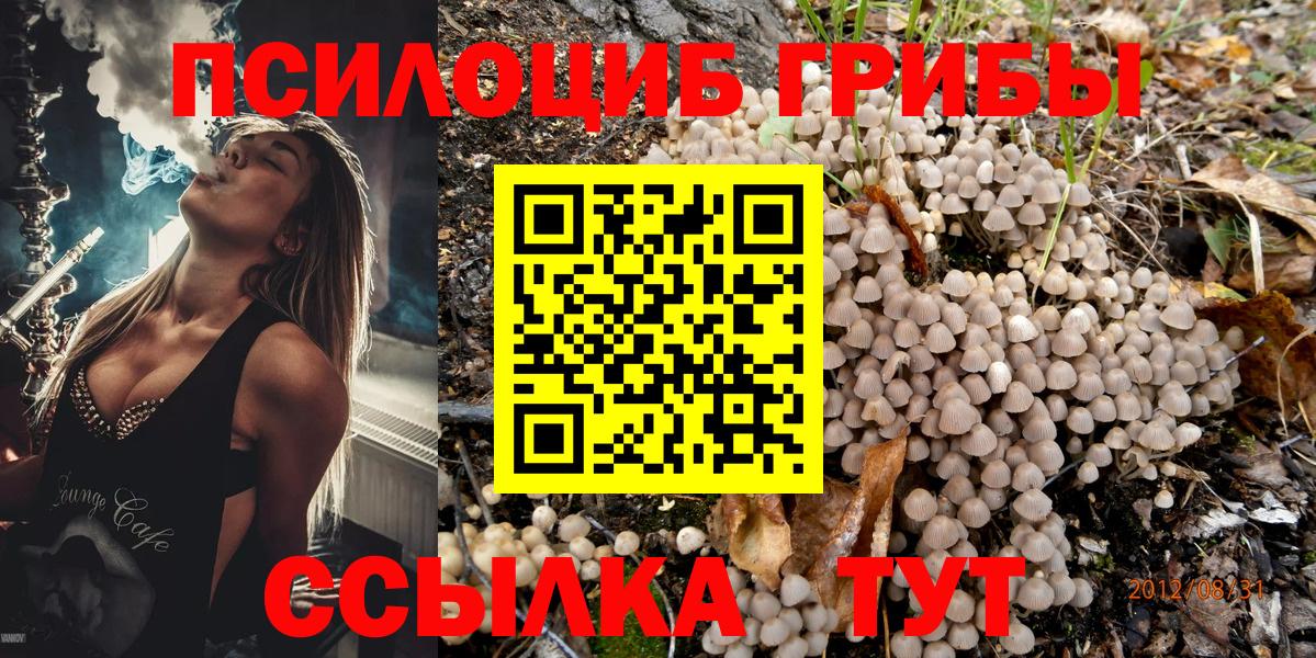 Галлюциногенные грибы MAGIC MUSHROOMS Шумерля