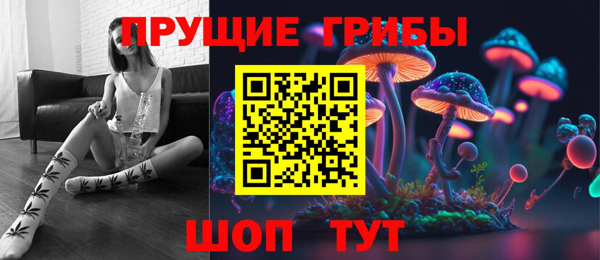 Псилоцибиновые грибы Psilocybe  Вход с VPN  Шумерля 
